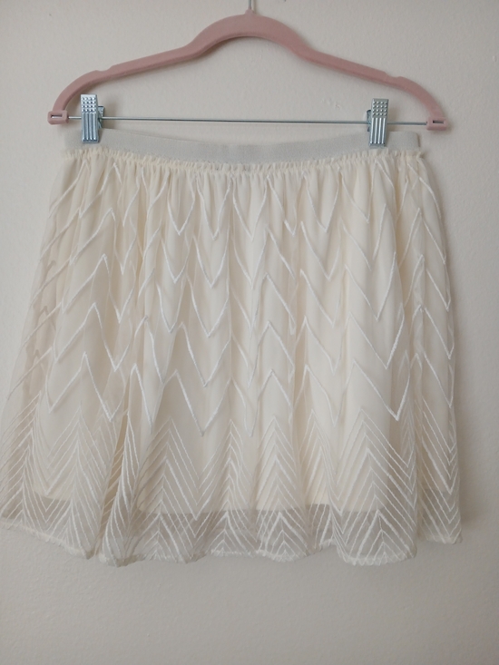 American Eagle Outfitters Dresses & Skirts - American Eagle Outfitters Cream Embroidered Mesh Mini Skirt Women's Small Lined